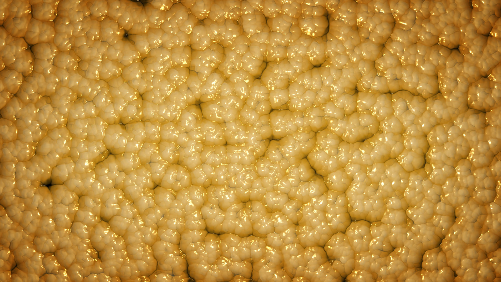 An image of thousands of yellow fat cells