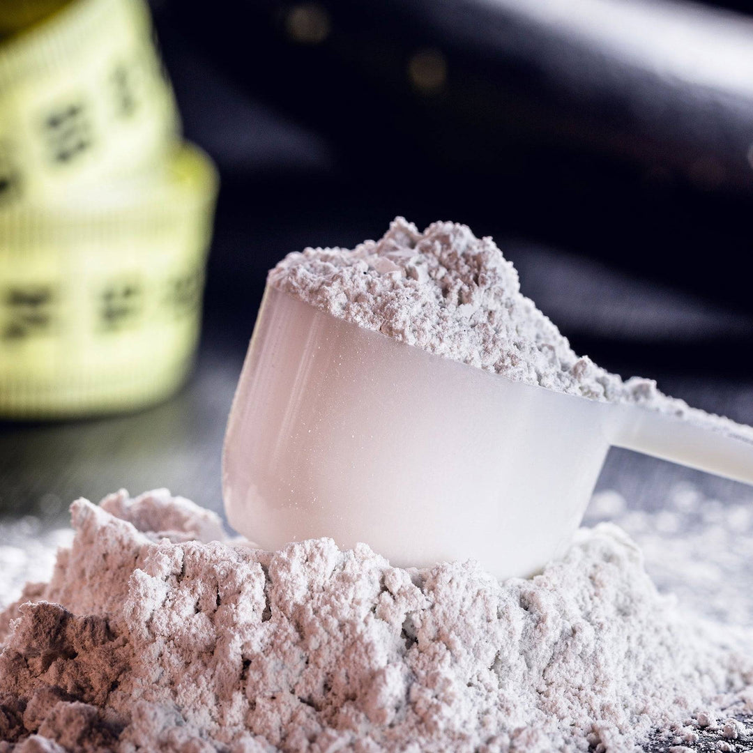L-Carnitine Powder