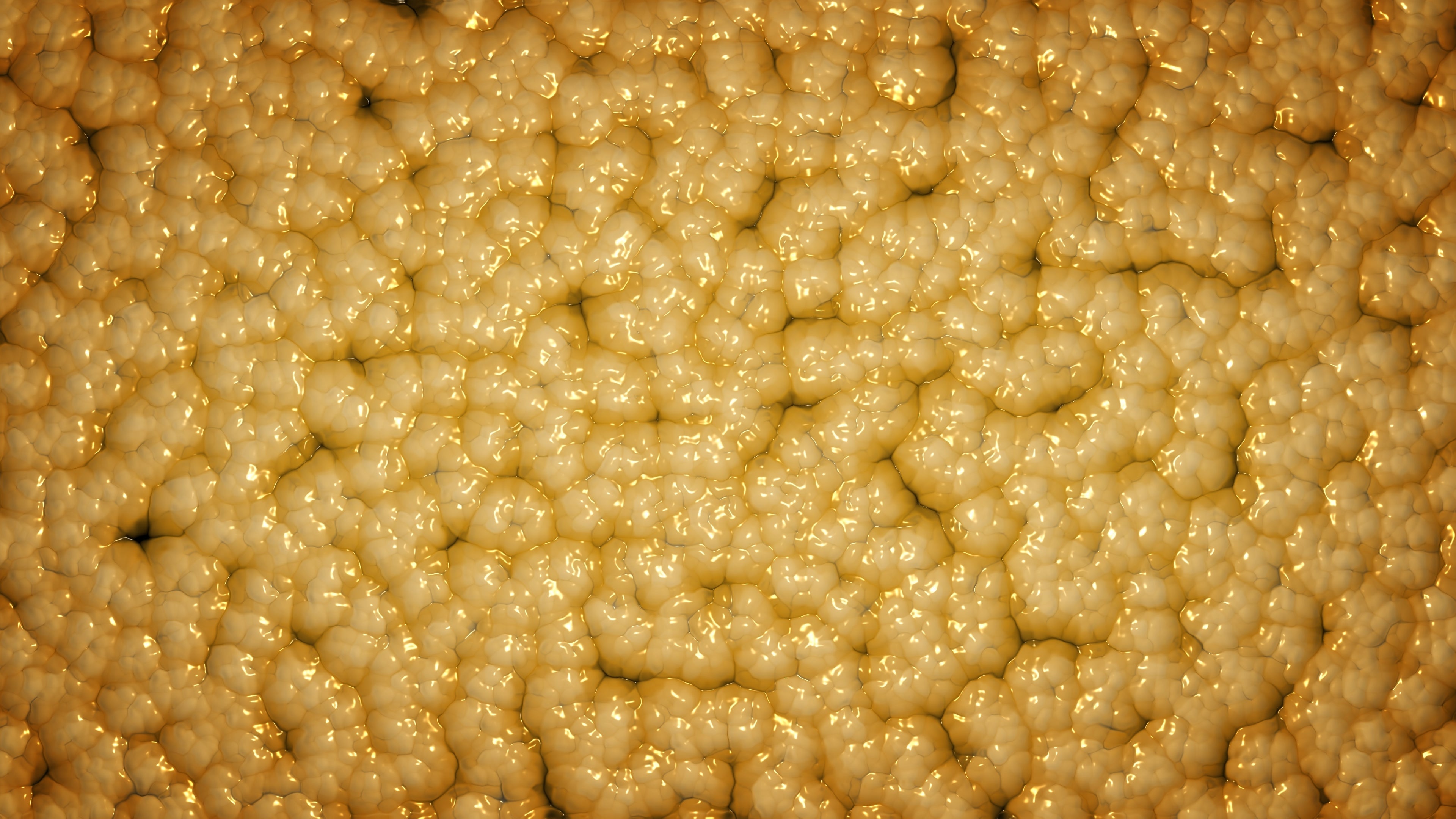 The Science of Fat Cells | How Fat Cells Work | No Label Nutrition®