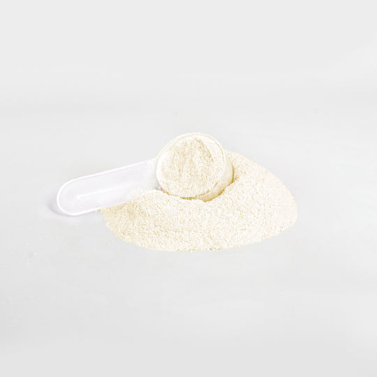 Hydration Powder (Mango Peach)
