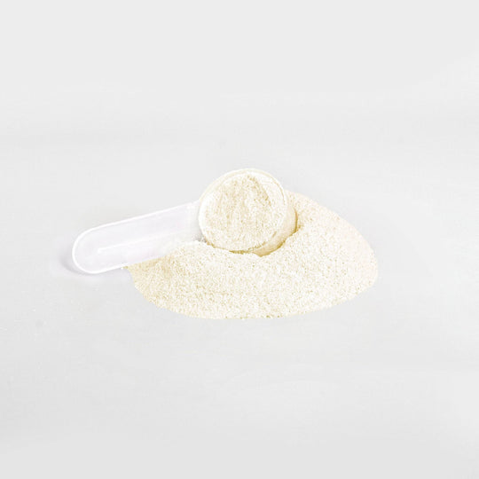 Hydration Powder (Passion Fruit)